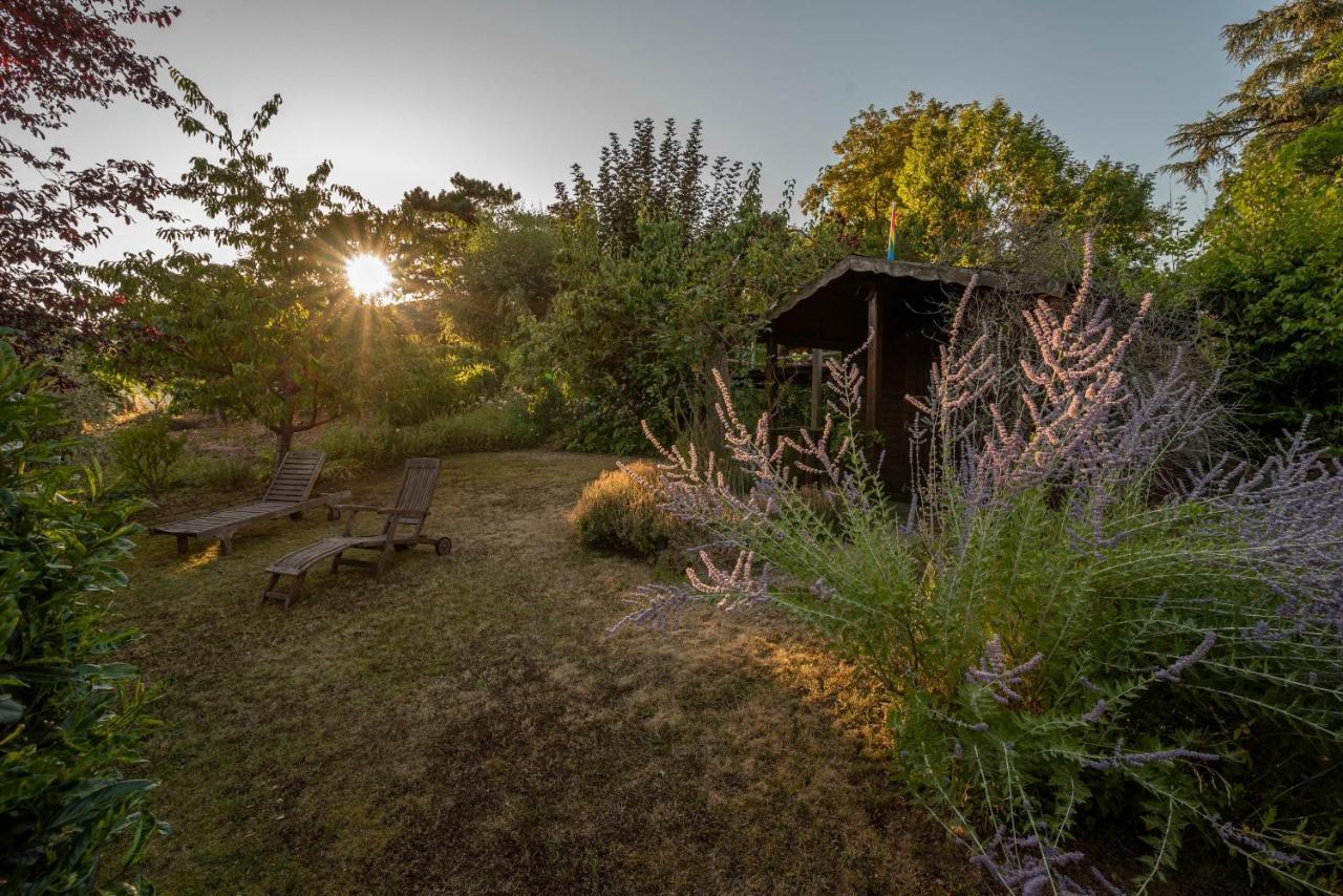 Ferienhaus Bis 10 Personen Und 2,5 Schlafzimmern Geisenheim Extérieur photo